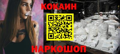 мдпв Кингисепп