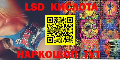 мдпв Кингисепп