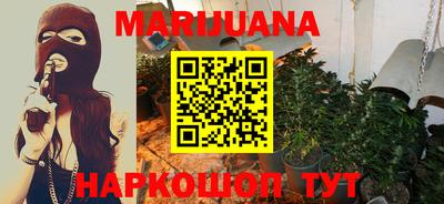 мдпв Кингисепп