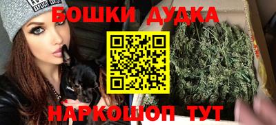мдпв Кингисепп
