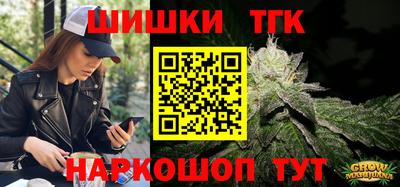 мдпв Кингисепп