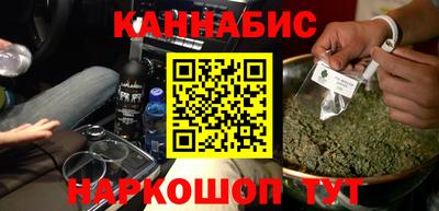 мдпв Кингисепп