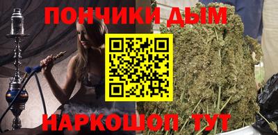 мдпв Кингисепп