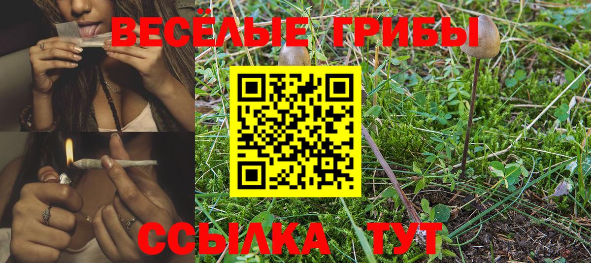 Тихорецк  Галлюциногенные грибы Psilocybe  Вход с VPN 